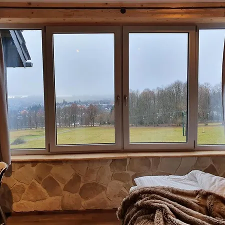 Wlodgeone - Wald *