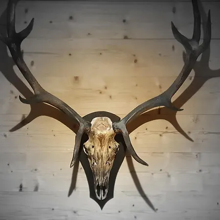 Apartment Wlodgeone - Wald Braunlage