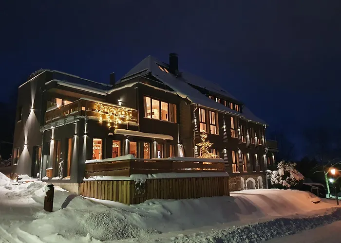 Apartment Wlodgeone - Wald Braunlage