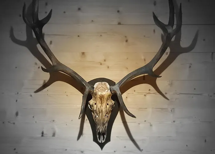 Apartment Wlodgeone - Wald Braunlage