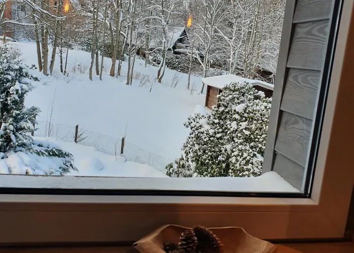 Apartment Wlodgeone - Wald Braunlage